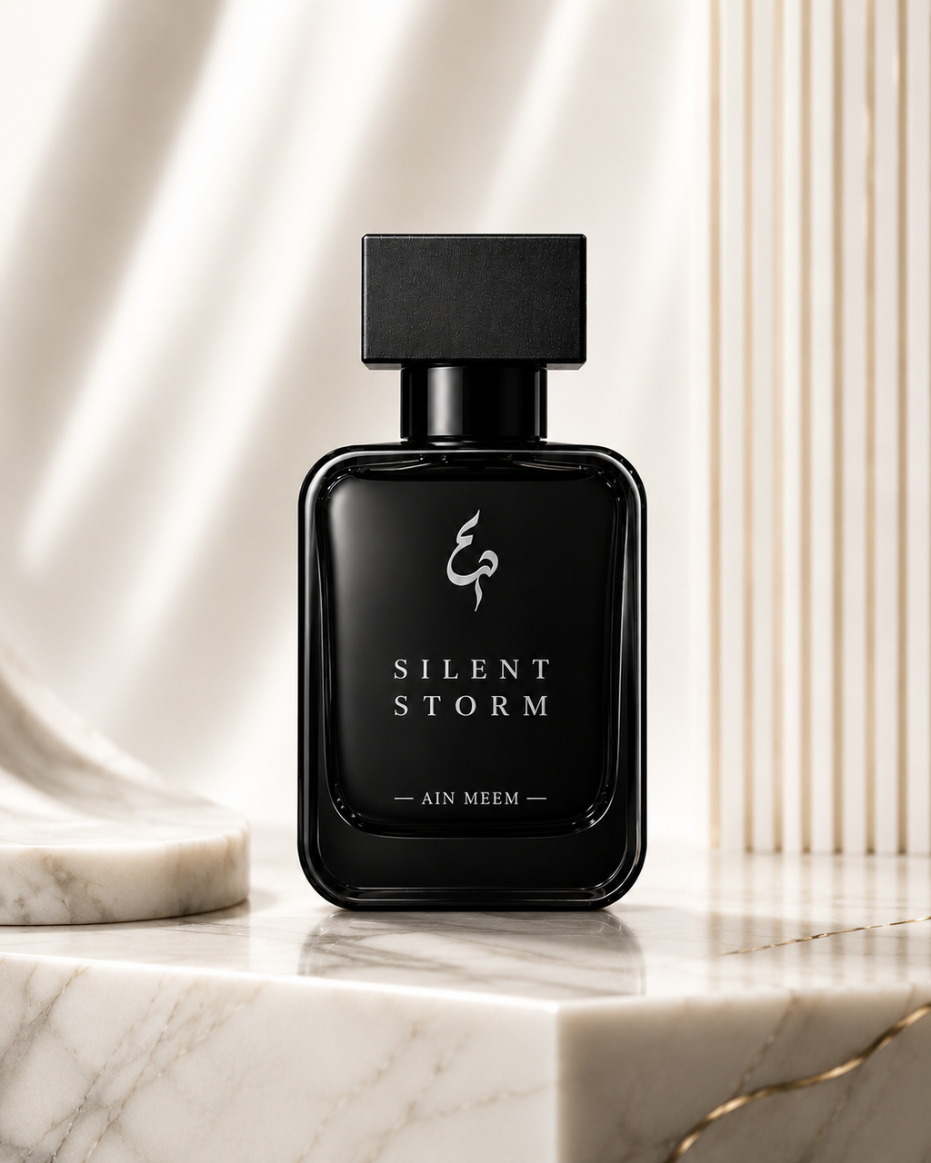 SILENT STORM