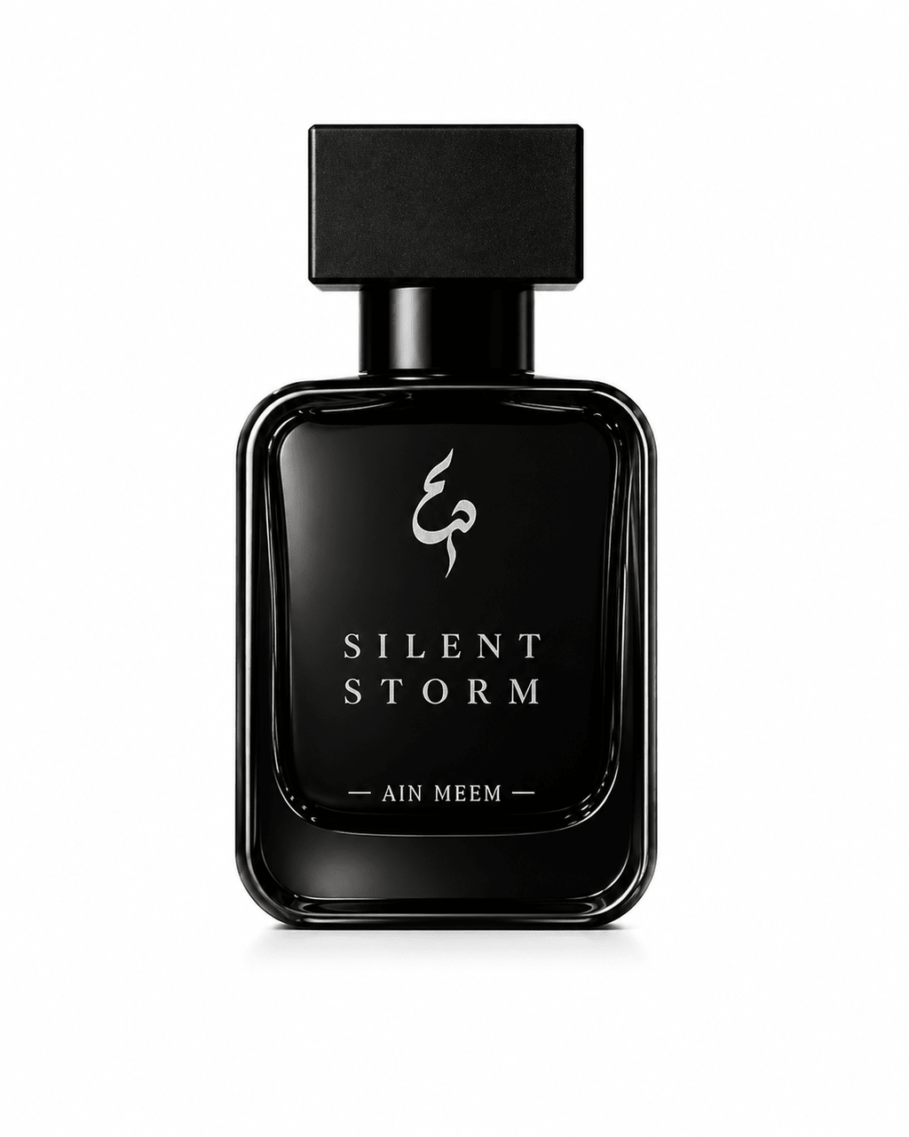 SILENT STORM - Aiin Meem