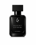 SILENT STORM - Aiin Meem