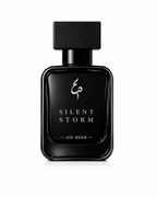 SILENT STORM - Aiin Meem