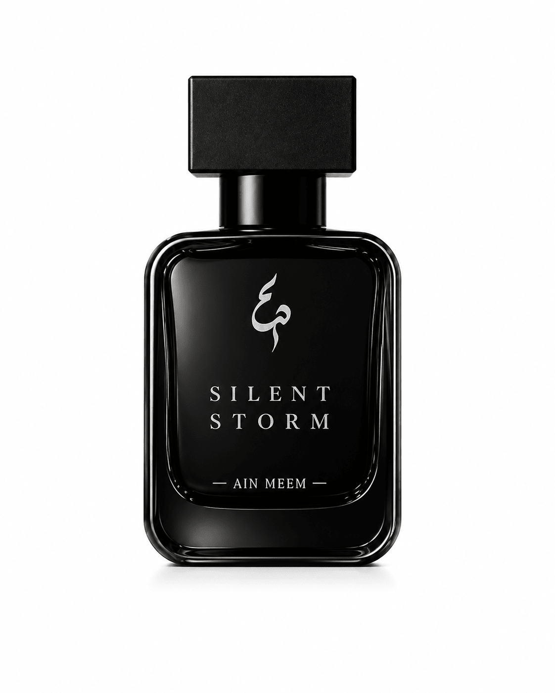 SILENT STORM - Aiin Meem