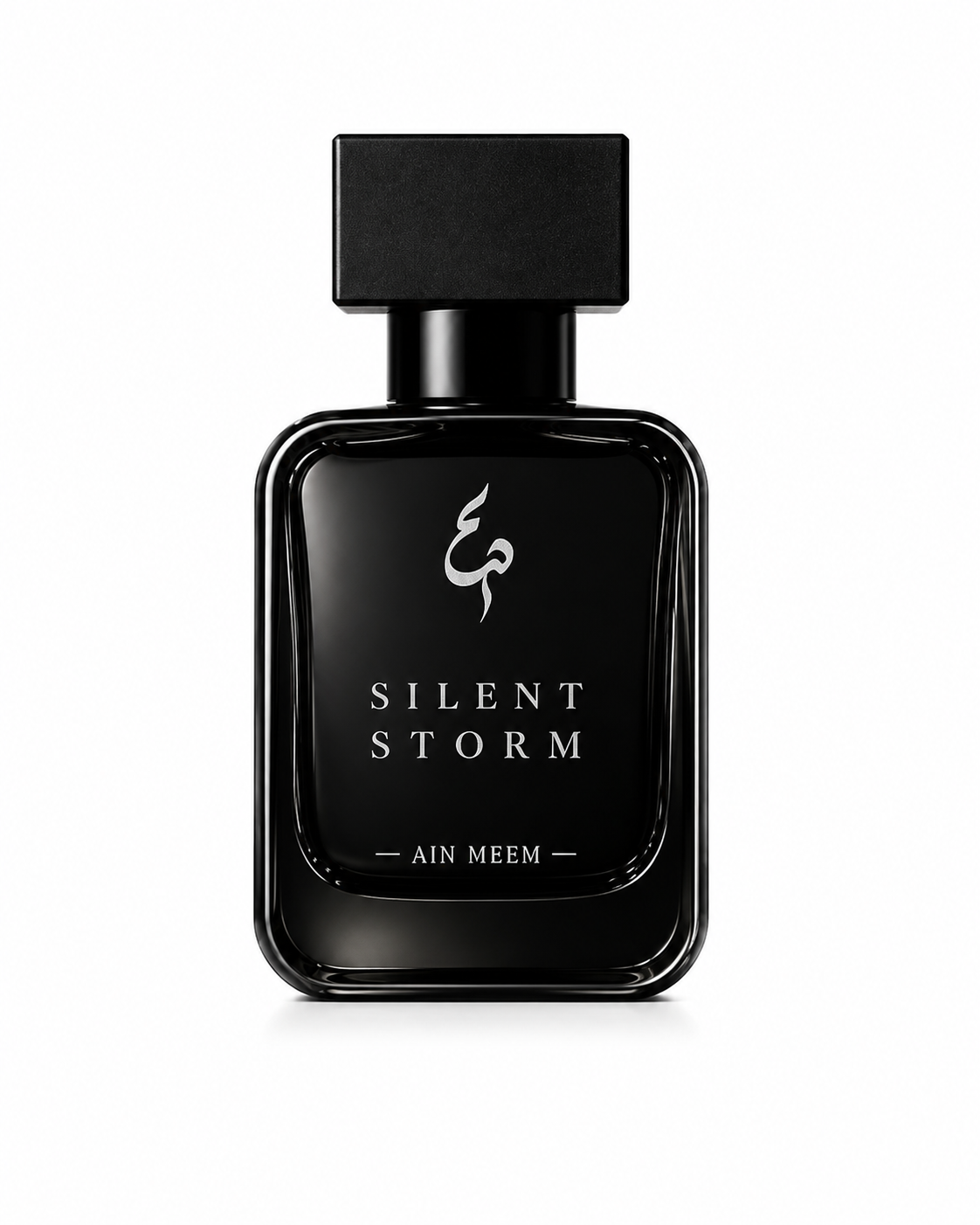SILENT STORM